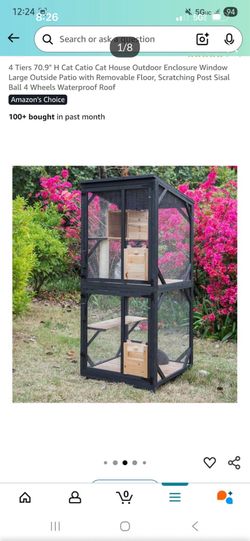 Catio