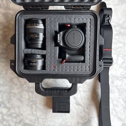 Canon SL3. 24mm Pancake Lens, 60mm Ultrasonic Lens. 