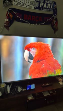Sharp 55” TV [2017-2018] LED 60Hz