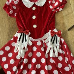 Minnie Mouse Youth Large