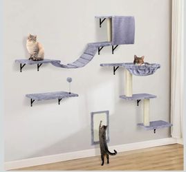 Wall Mounted Cat shelves