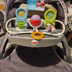 Fisher-price Indoors/outdoors Seat