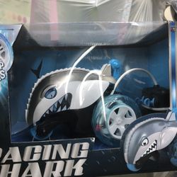 Racing Shark Car