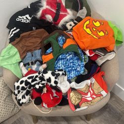 Small And Extra Small Bundle Dog Clothes 