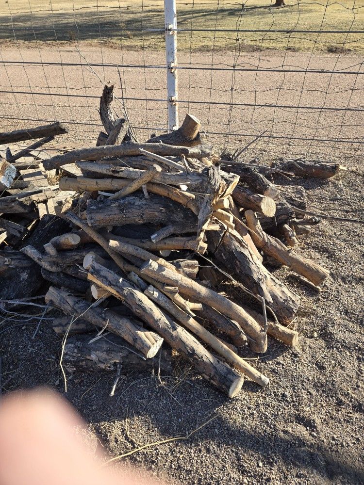 Firewood