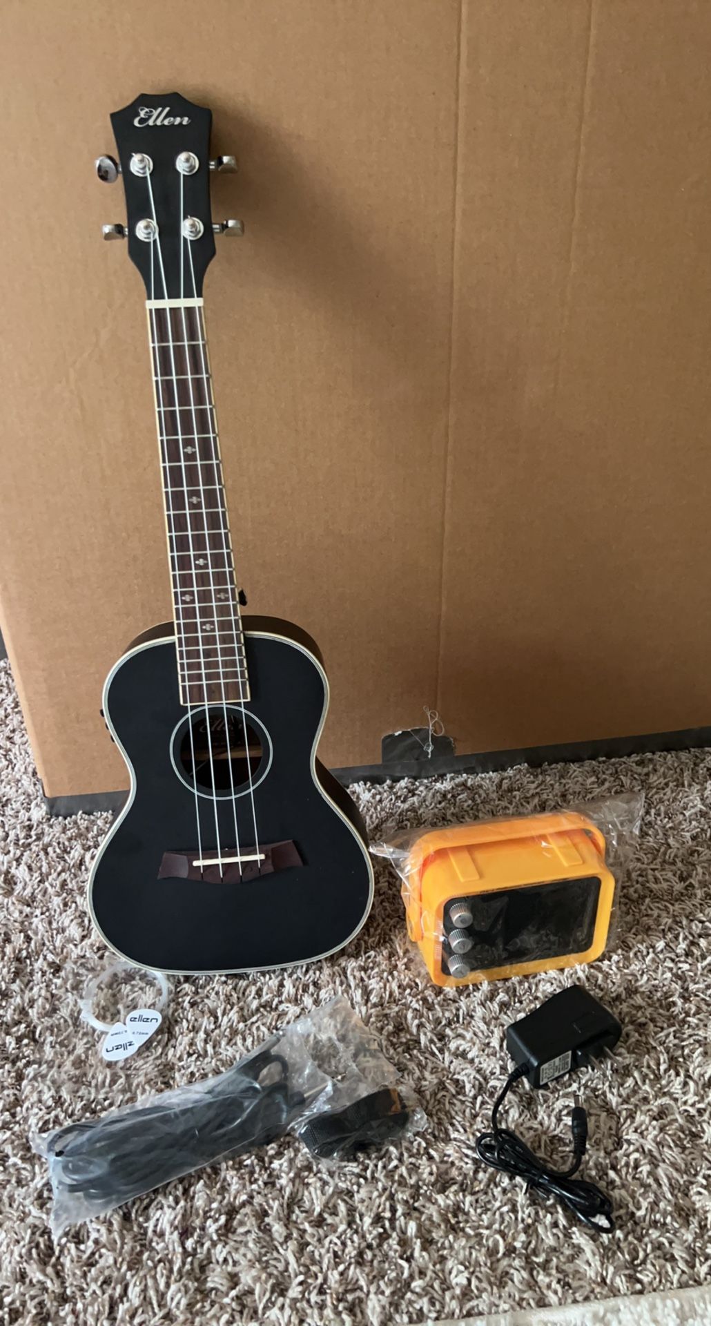 Ellen Guitar