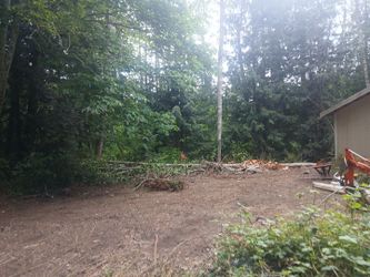 Next years firewood. Alder. Cords priced to sell.