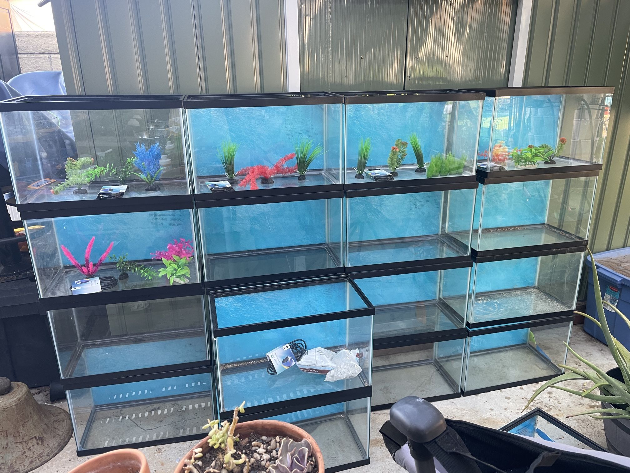 20 Gallon Fish Tank 20 Tanks Available