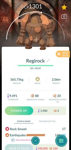 Pokemon go
