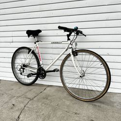 Schwinn Hybrid Bike