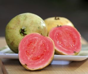 Pink Guava Fruit Tree