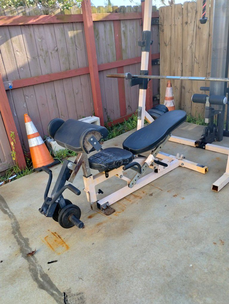 Home Gym Powertec With Bench And Rack