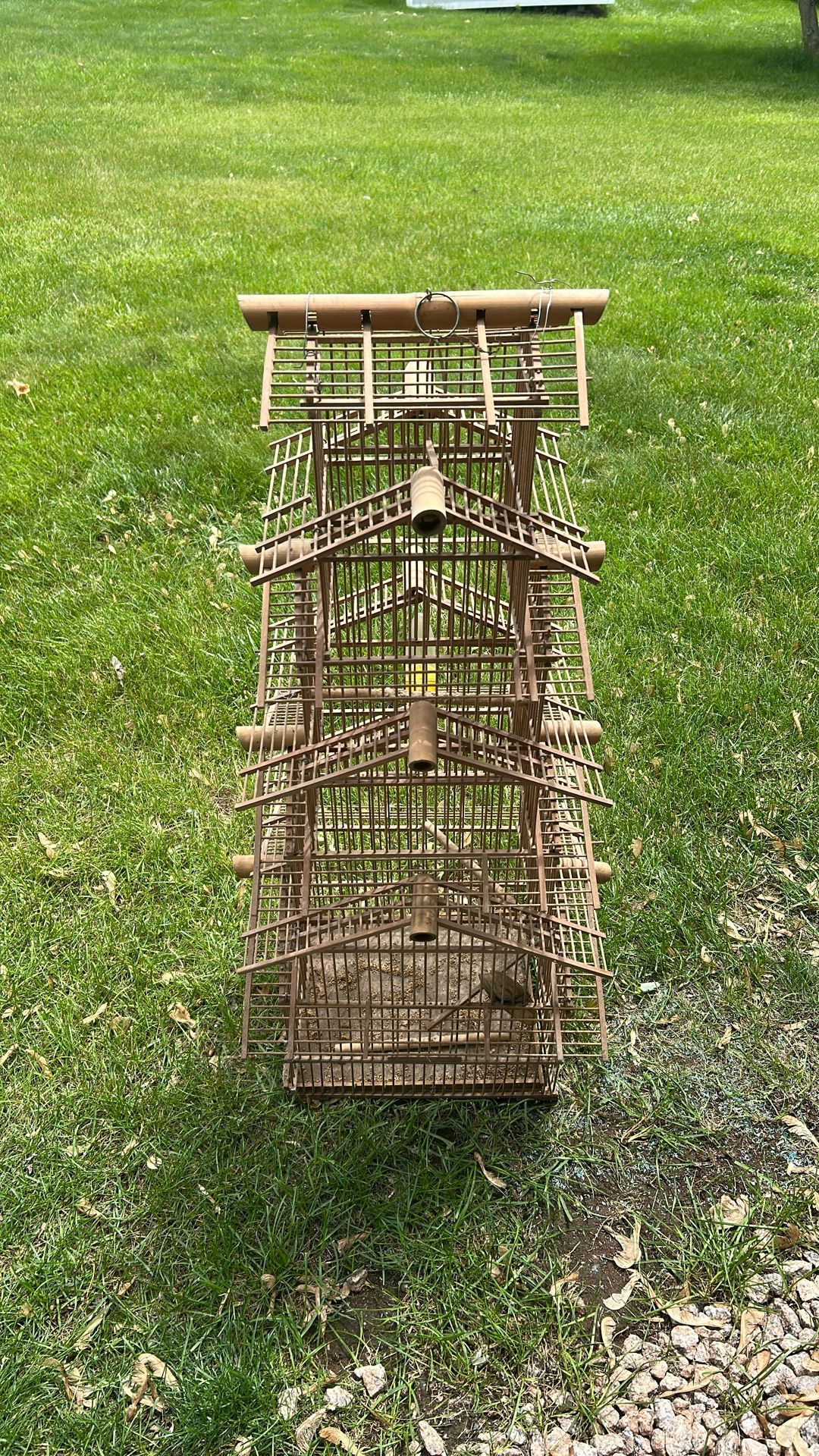Parakeet Cage