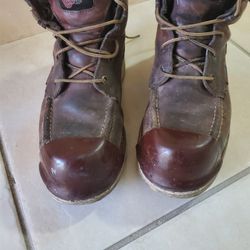 Red Wings 