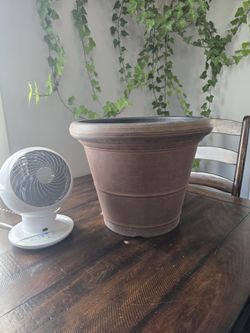 Giant Flower/ Plant Pot