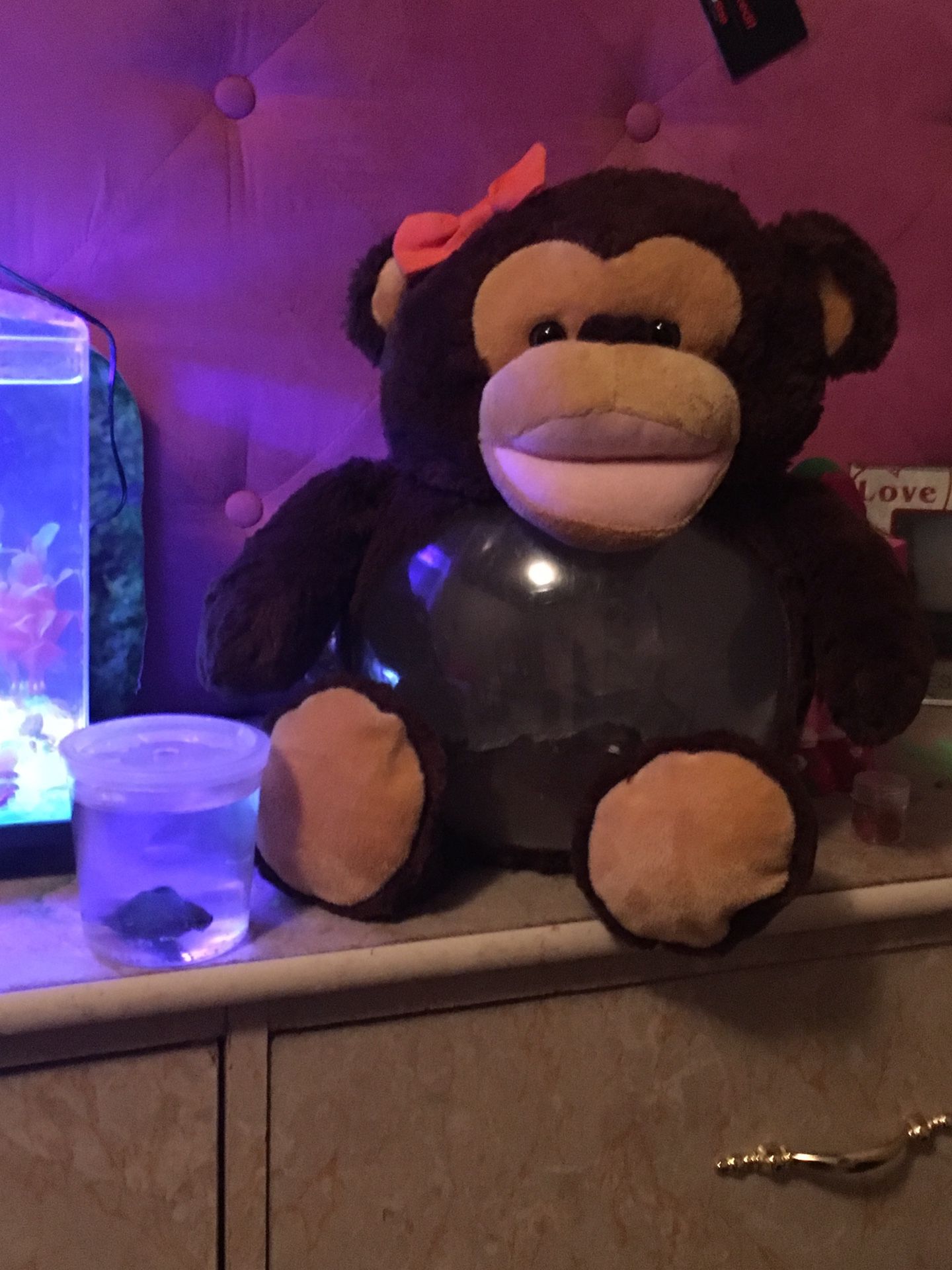 Monkey fish tank
