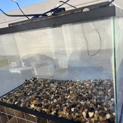 Fish Tank With Small rocks