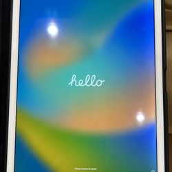 Large iPad Pro 1st Generation 