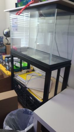 Fish tank with stand