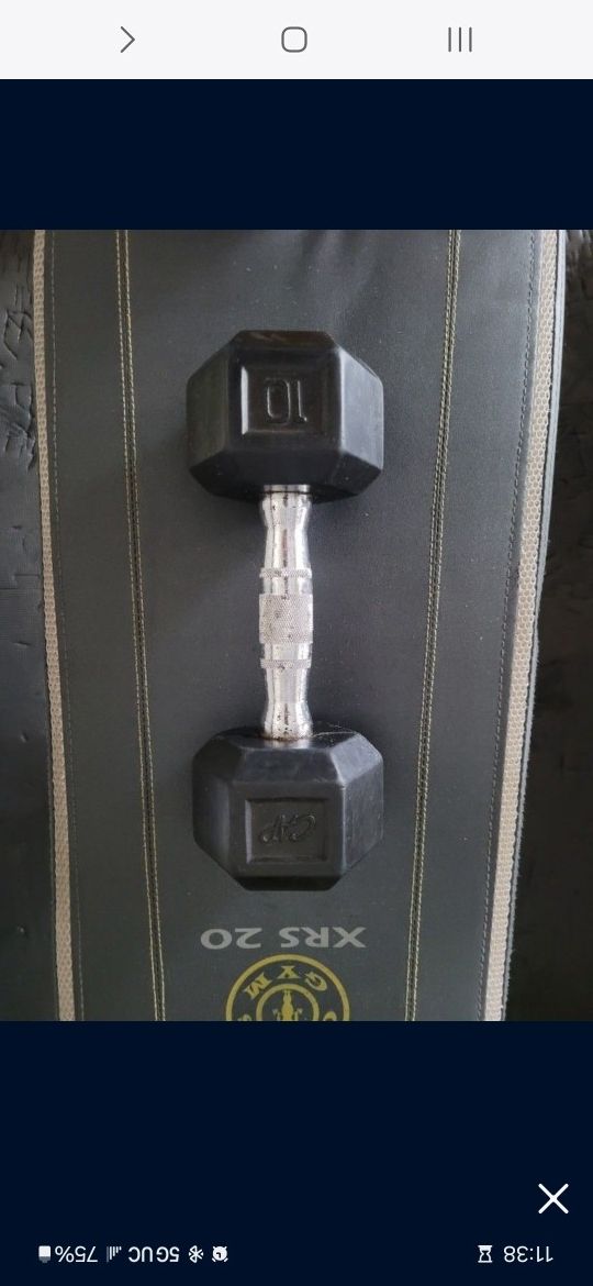 10lb Dumbbell 