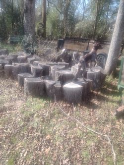 Fire Wood...For Sale Cheap...Red Oak Split Your Self ... Pecan ...100$