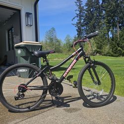 Mongoose Bike