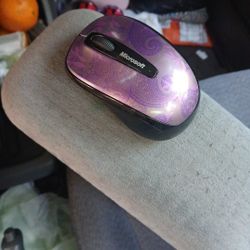 Computer Mouse 