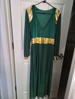 Halloween costume  $25