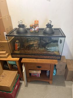 Caja De Vidrio Para Mascotas
