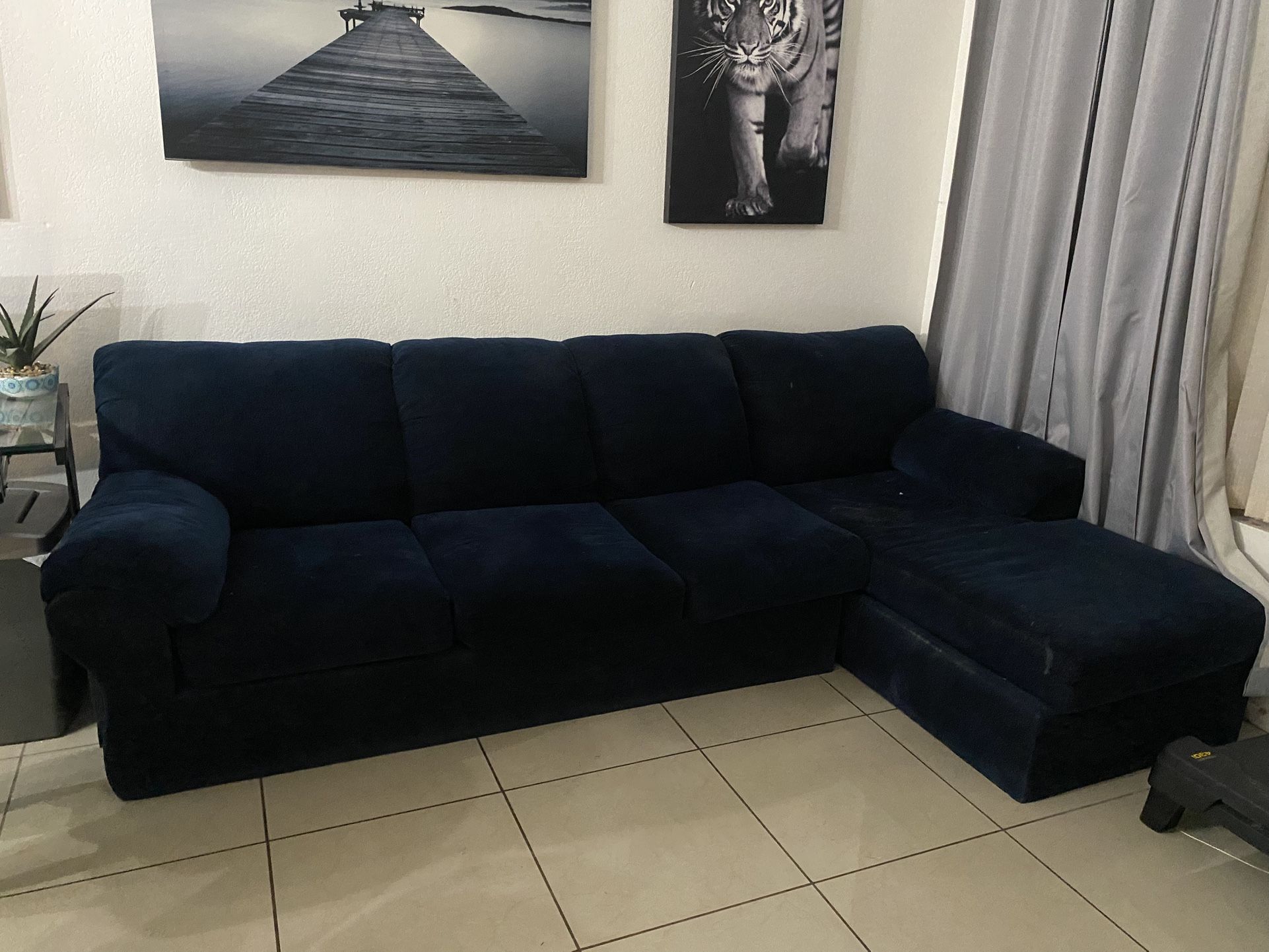 Blue Sectional Couch
