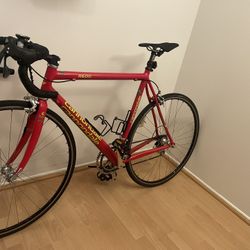 Cannondale Fast Road Bike 54cm