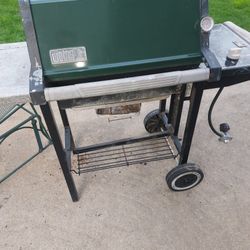 Weber Grill 
