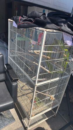 Giant love Bird Cage