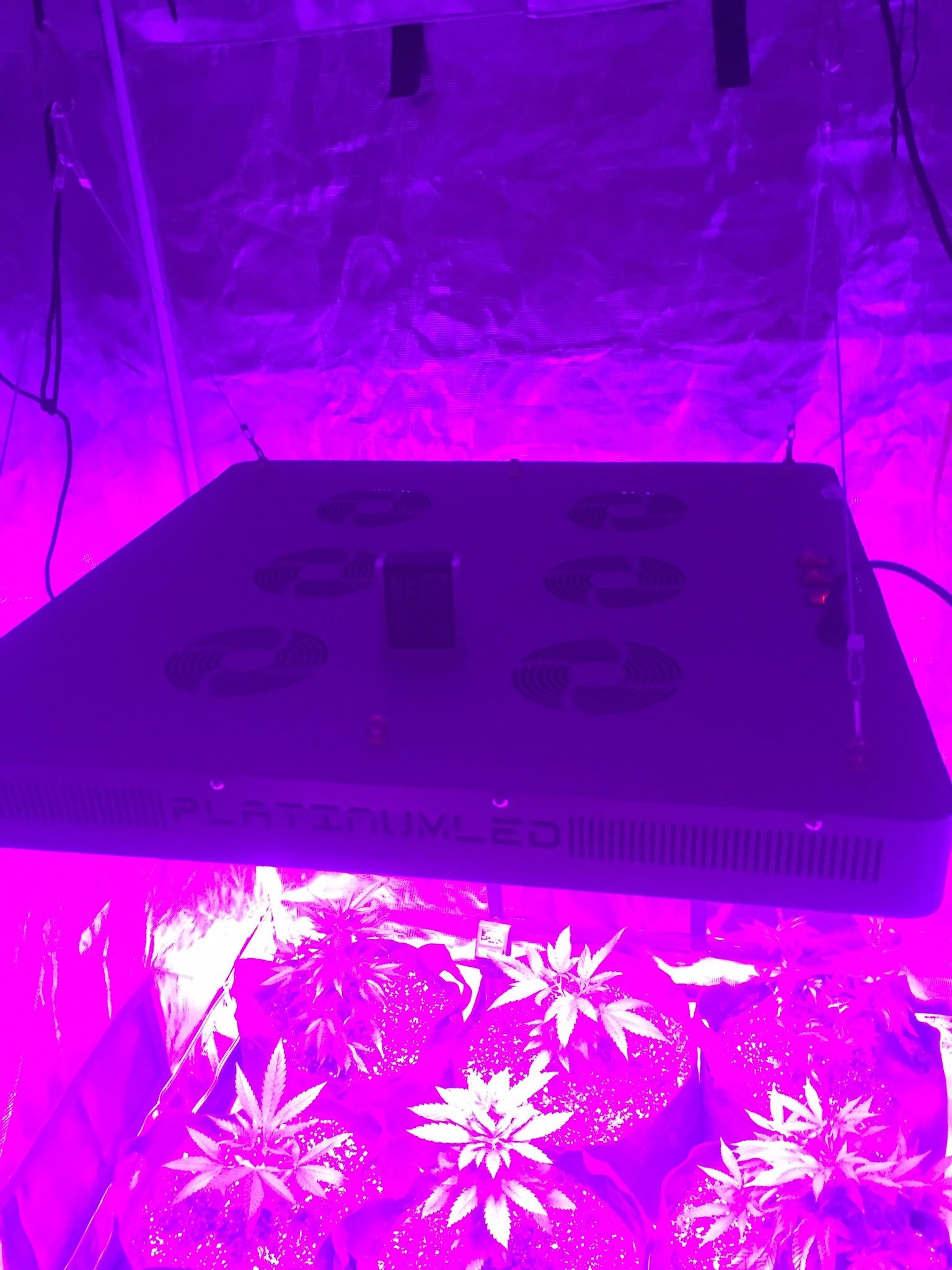 Grow Equipment