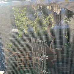 Reptile/Bird Enclosure