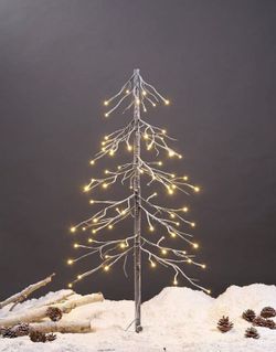 4.5-5.8 Ft Birch Tree (one Price Only)(WHOLESALE AND RETAIL)