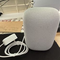 Google Nest Audio
