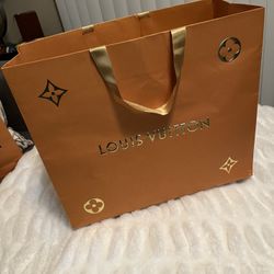 Large Louis Vuitton Bag