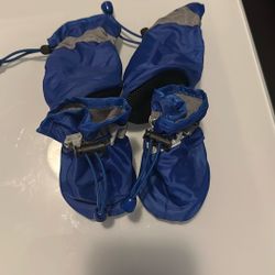 Zapatito Para Perros