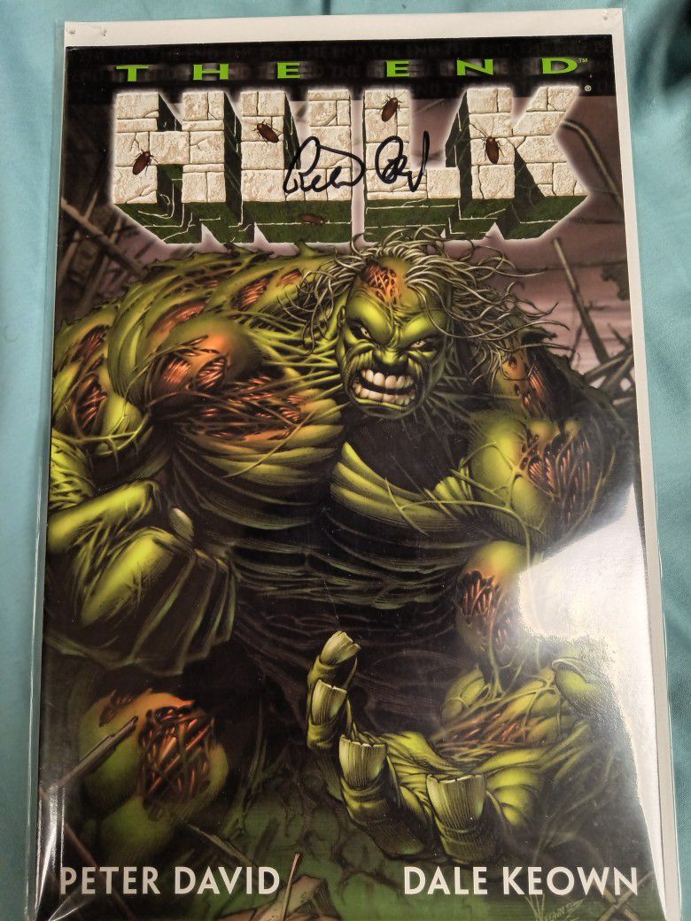 The End Hulk Graphic Novel 