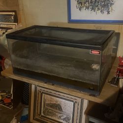 40 Gallon Terrarium 