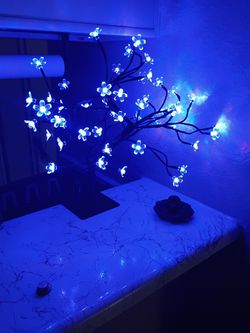 Cherry Blossom LED