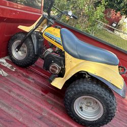 1986 ALT Trail Buddy 50