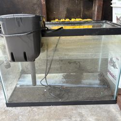 20 gallon fish tank With Pump