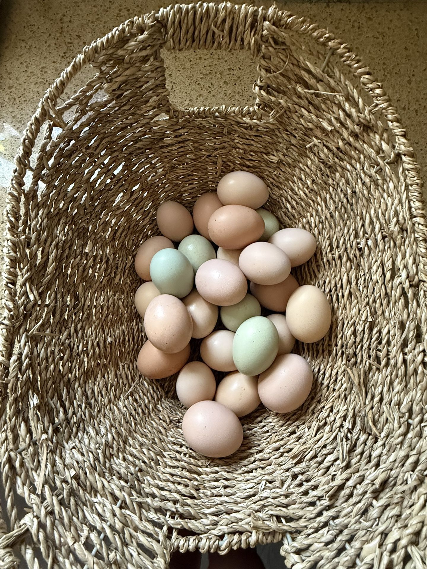 Organic Fresh Farm Eggs