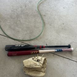 Baseball Bat/glove