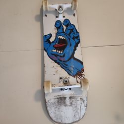 Santa Cruz Skateboard