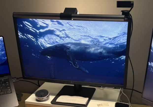 LG UltraFine 24MD4KL B 24” 4K Monitor + Free IKEA Wireless Charging Desk Lamp