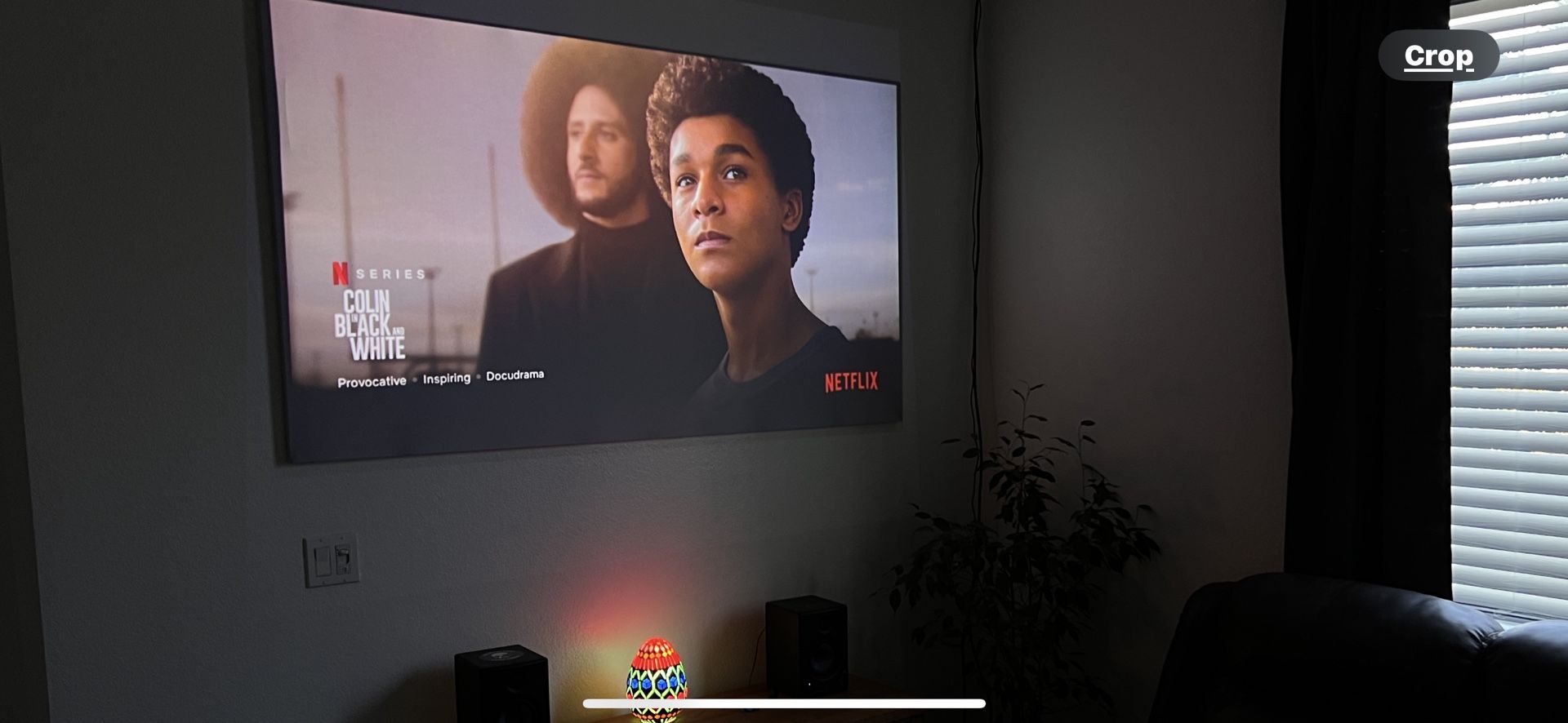 Optoma Projector 1080