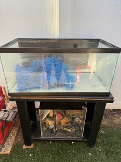 55 gallon tank with sump tank and protein skimmer